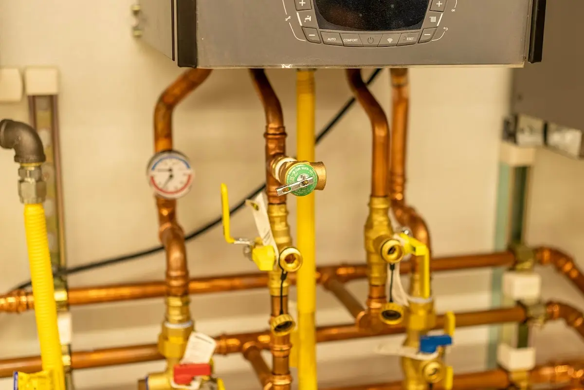 Licensed technician providing Sump Pump Repair for a homeowner in Sans Souci